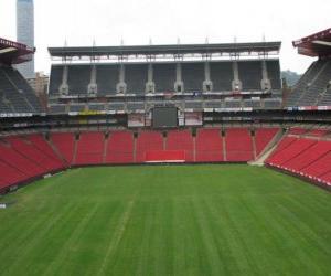 пазл Ellis Park Stadium (61.639), Johannesburg
